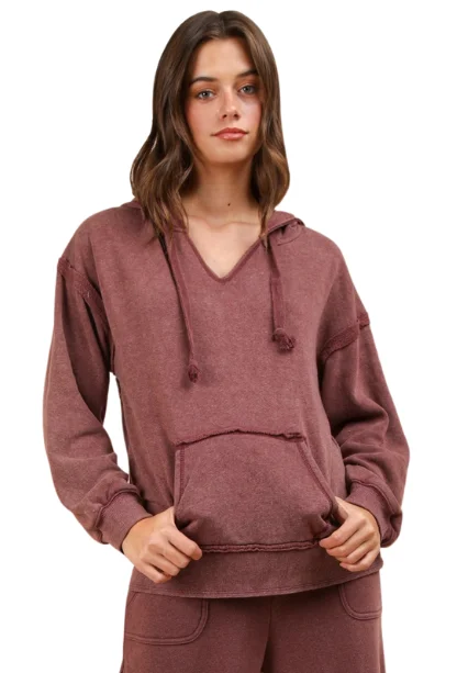 Backyard Hangout V-Neck Hoodie